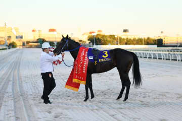 【JBCスプリント】荒山師「来年は海外も視野に」大井所属ファーンヒルが鮮やか逃げきりV