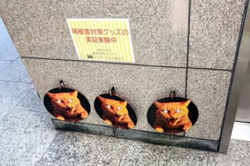 ハト被害に悩む新宿駅が導入した「天敵写真」作戦、あっさり撃破される―香港メディア