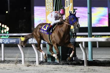 JBC開催船橋競馬が売得金レコードを更新…1日で83億円超、JBCクラシックも歴代最高に