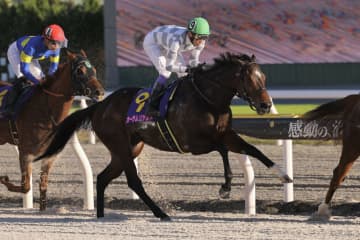 【JBCレディスクラシック】武豊「本来のこの馬じゃない」レース後ジョッキーコメント