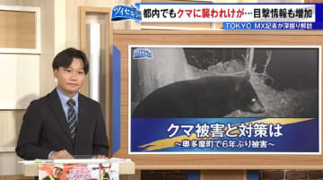 都内での目撃情報は例年以上！ 奥多摩町では6年ぶりの人的被害も…クマ被害の現状と各自治体の対策まとめ