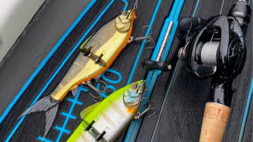 亀山湖をビッグベイトで攻める！ 50アップが飛び出してきたが…。フォローの『パインシュリンプ』はやっぱり安定！