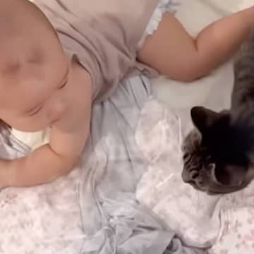 ベビーベッドをこっそりと覗いたら、『赤ちゃんと猫』が…思わず笑顔になる『尊すぎる瞬間』が12万再生「あまりにも幸せな空間」「たまらん」