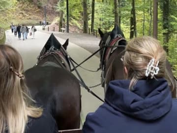【ドイツ】絶景！秋のノイシュバンシュタイン城で紅葉を堪能