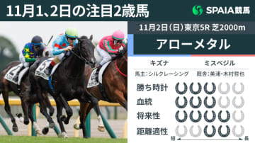 【注目2歳馬】直線モタつき後退もラスト150mで非凡な瞬発力を発揮　キズナ産駒アローメタル
