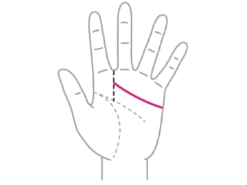 愛情深く人情的でとても魅力的な人の感情線の長さとは！？【手相の教科書】