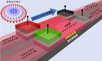 スキルミオンの流体挙動と論理ゲート機能を理論的に発見