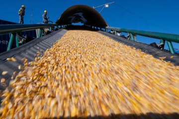 中国黒竜江省から南への穀物輸送が最盛期