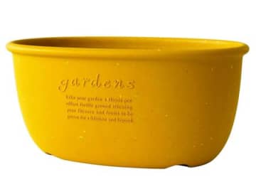 【50代・60代】秋の庭づくりにぴったり♪プランター・培養土をAmazonセールでお安くゲット♡