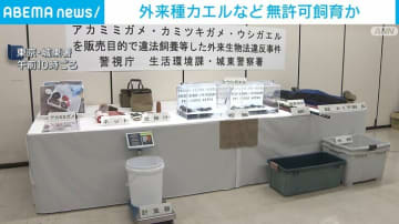 外来種カエルなど 無許可で飼育か 東京・江東区