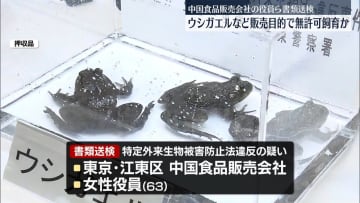 ウシガエルなど販売目的で無許可飼育か　中国食品販売会社の役員ら書類送検