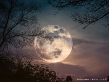 2025年の“特大満月”を見逃すな！　11月5日は『ビーバームーン』をチェック！