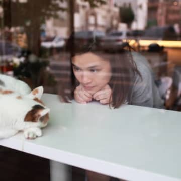 猫を飼えなくてもできる『猫愛を満たす』方法6つ　癒しや安らぎを得られる時間の過ごし方