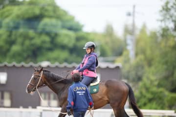 西武・そごう、2026年福袋に「乗馬体験」「新米すくい」。横浜マリンタワーを「推し色」に染めるライトアップ権も！