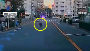 「大きな犬だなと思ったら…」道路の真ん中にイノシシ　東京・江戸川区で目撃情報相次ぐ　一部の小学校は保護者の送迎呼びかけ