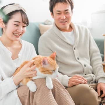 猫に『ストレス』を抱えさせないための工夫5つ　心身の健康を支えるケア方法もご紹介