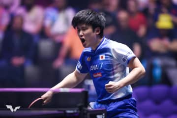 張本智和 世界27位のデンマーク選手に快勝で4連勝！初戦突破で16強入り【卓球 WTTフランクフルト】