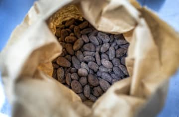 カカオ豆高騰の甘い誘惑　ガーナの密輸にスイスも危機感