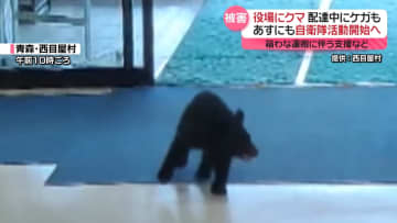 クマに襲われ新聞配達中の男性ケガ…自衛隊あすにも秋田で活動開始　東京・江戸川区ではイノシシ出没