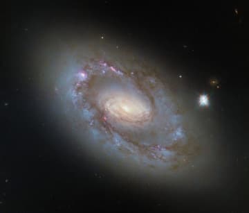 活動銀河核を宿した“おおぐま座”の渦巻銀河「NGC 4102」　ハッブル宇宙望遠鏡が観測