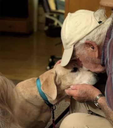 米国の９３歳男性　点々と置いた臭い靴下で迷子になった犬のおびき寄せに成功