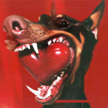 Paledusk、1stアルバム『PALEDUSK』の収録内容＆特典発表　リードシングル「I ♡ YOU BABY!!」も先行リリース