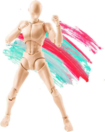 【Amazonセール】Gnallangのデッサン人形がお買い得筋肉体型 男性と筋肉体型 男女がラインナップ