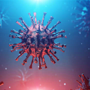 古代の細菌防御システム、現代のウィルス脅威の一助に！？