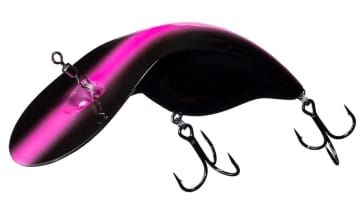 【今期、富士山初冠雪】秋から激変、この寒さは真冬並み！「このタイミングの釣りはとにかく手数が大事！」狙うべきポイントも！