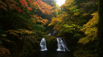 三重県名張市の名勝「赤目四十八滝」で紅葉はじまる。ピークは11月中旬から、幻想的な夜間ライトアップも