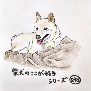 柴犬あるある、暑がりなのに毛布好きなとこ｜連載「ここ掘れここ柴」vol.299