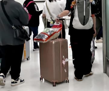 「また日本で割り込まれた」との投稿に反響＝中国ネット「本当にウザい」「英語か日本語で注意」