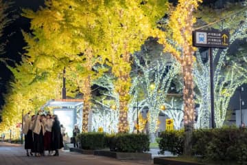 和歌山市が彩る光の祭典「けやきライトパレード」-全長3km、130万球のイルミネーションストリートに500機のドローンショーも