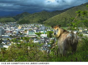 巨匠の名を冠した写真賞の入賞作品が一堂に「第18回 秋山庄太郎記念 米沢市写真文化賞 入賞作品展」東京展