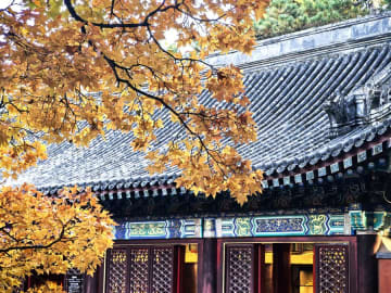 秋色の北京　香山公園の紅葉