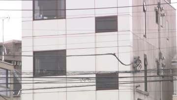 ハンマー男が暴れ女性の頭殴り現行犯逮捕…元従業員の男が会社内で犯行か？サバイバルナイフも押収　東京・大田区
