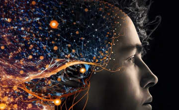 生成AIの登場でサイトのアクセスが急減。AI時代に勝つデジタル施策の解決策とは？