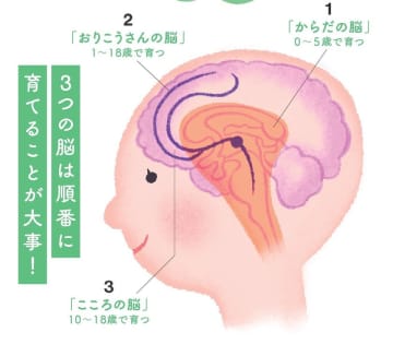 「賢い脳」は脂が9割　学力より“地頭力” ―10年後の未来に差がつく『育脳ごはん』の新常識　～カギは “毎日のオメガ3” 脳は食べ方で変えられる～