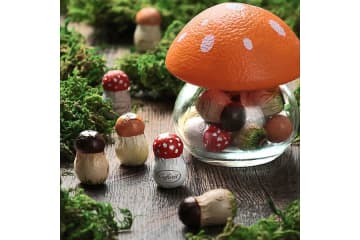 カルディ、ゲームに登場しそうなコロンとかわいい「きのこポット」発売