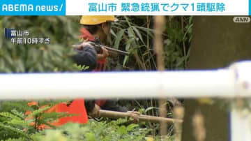 国道付近で「緊急銃猟」によりクマ1頭駆除 富山市