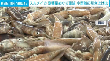 スルメイカ、漁獲量めぐり議論 停止命令中の小型船も審議
