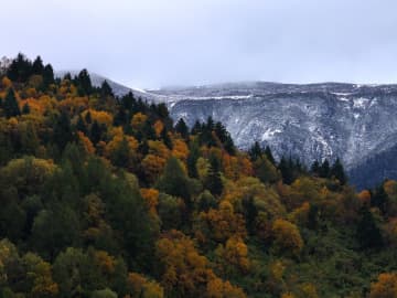 色づく木々、色季拉山の秋　中国西蔵自治区