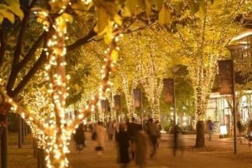 「2025 たちかわイルミネーション」立川駅北口に約60万球が輝く“光のケヤキ並木＆ツリー”