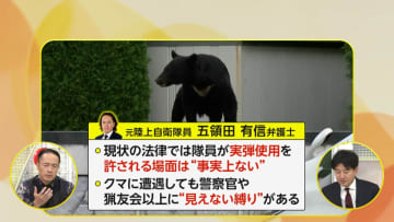 【解説】なぜ自衛隊がクマ駆除せず後方支援に？「実弾使用」許される場面事実上なく“見えない縛り”も