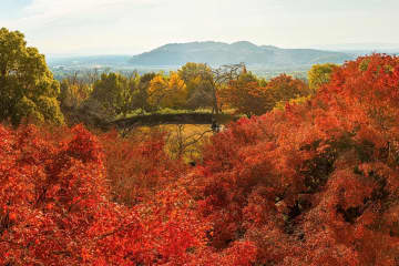 築100年の名建築が紅葉に染まる！京都・大山崎山荘美術館で味わう芸術の秋