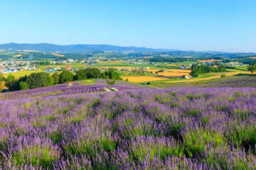 旅行代金18万円、“振込直前”にドタキャンした友人と絶縁 「自己破産していた。皆から代金を搾取する気だった」と推測