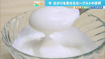 今、ヨーグルトが大きく進化！ちょっとリッチな贅沢系から健康志向の植物性、スイーツとしても大人気！最新ヨーグルト事情