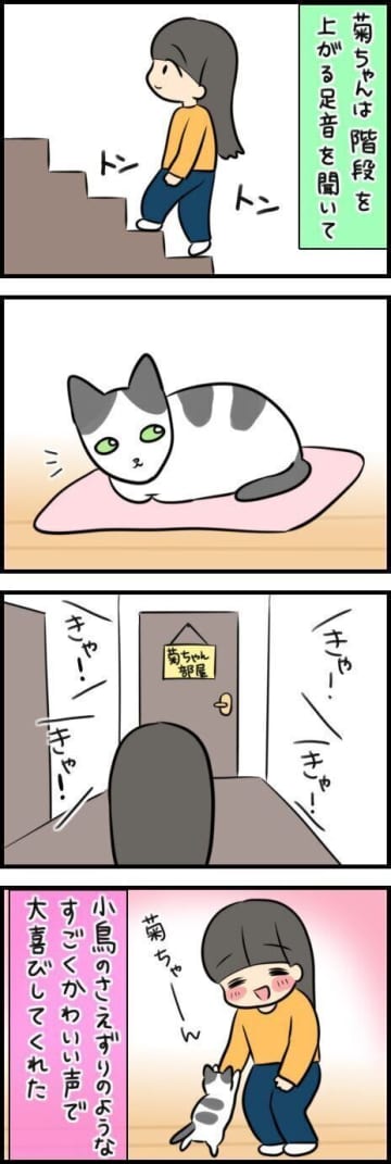 鳴き声が可愛すぎる！階段を上がるだけで喜ばれる日々【連載】もふもふスコたん#360