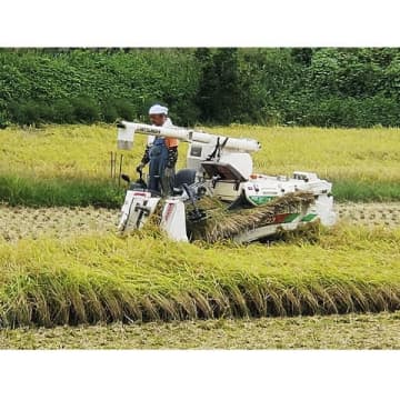 新米売れず、ささやかれる年末の米価暴落…コメ卸最大手トップが異例言及の波紋