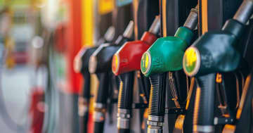 庶民舐めてる…ガソリン減税反対「フェラーリ河野」ボンボン世襲に伝えたい３つの現実「ネット大荒れ、批判続出」